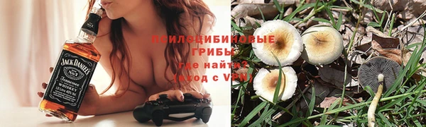 экстази Гусь-Хрустальный