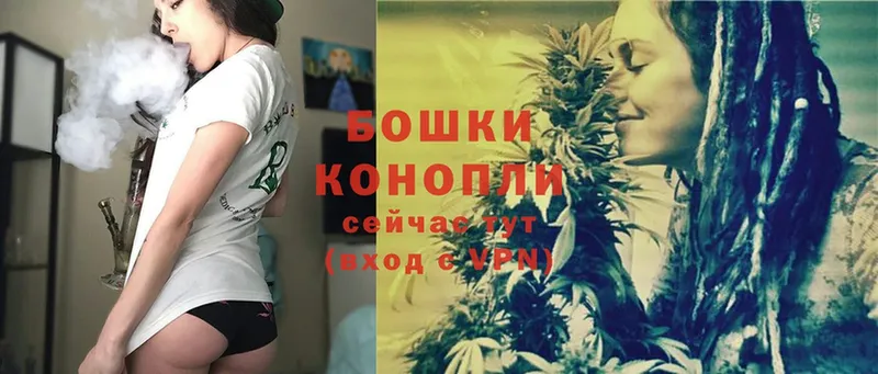 kraken   Колпашево  Конопля OG Kush 